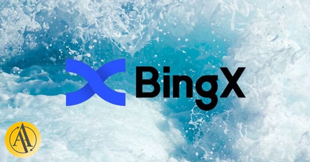 history of BingX
